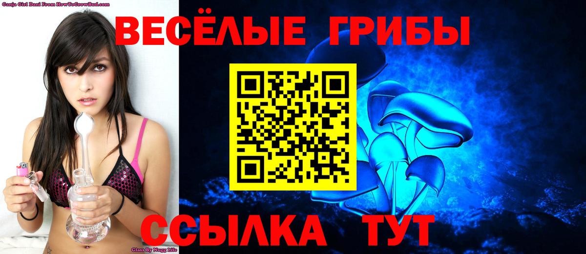 Менделеевск  Галлюциногенные грибы Cubensis  где найти   Вход с VPN 